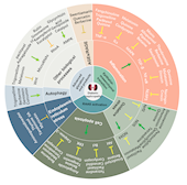 我校学者在《Pharmacology & Therapeutics》发表天然产物治疗糖尿病肾病的论述