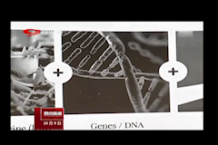 四川卫视：成都中医药大学牵手诺奖团队 共建抗癌实验室（10月9日）