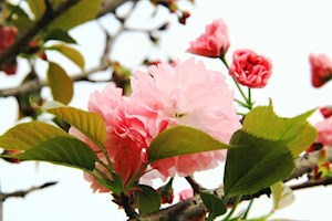 学校风光
